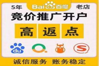 搜索开户返点揭秘：成功案例教你赚钱